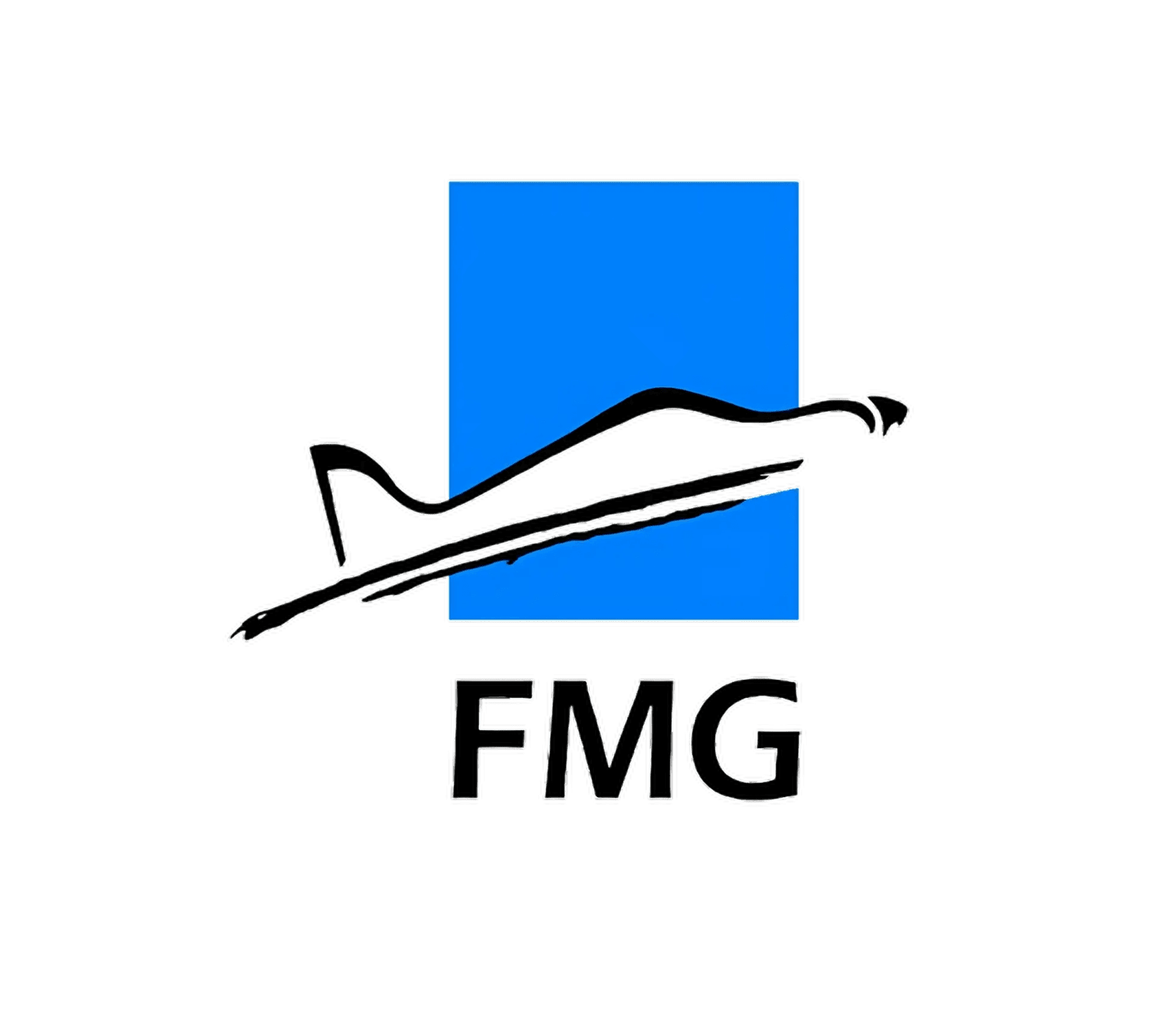 FMG